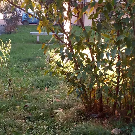 Acquario 3* Ρίμινι