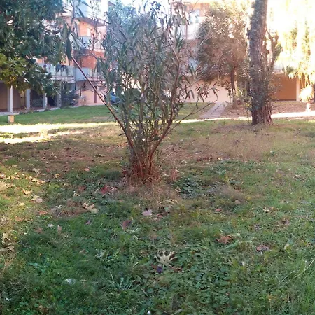 Acquario Hotel Rimini