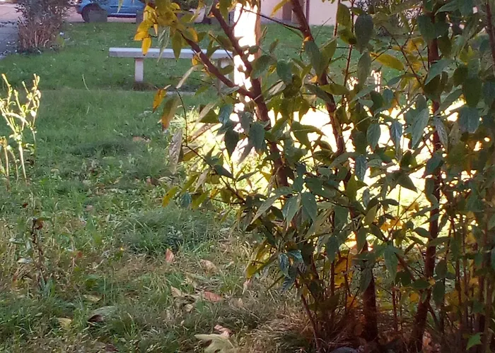 Acquario 3* 里米尼